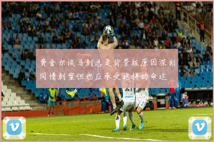 费舍尔谈马刺总是背景板原因深刻同情刺蜜但也应承受这样的命运