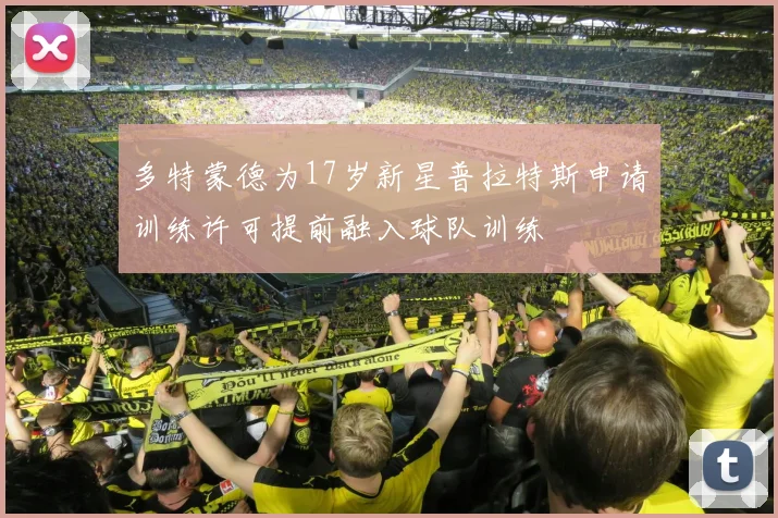 多特蒙德为17岁新星普拉特斯申请训练许可提前融入球队训练